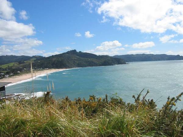 Lure of the Ocean Picture 3