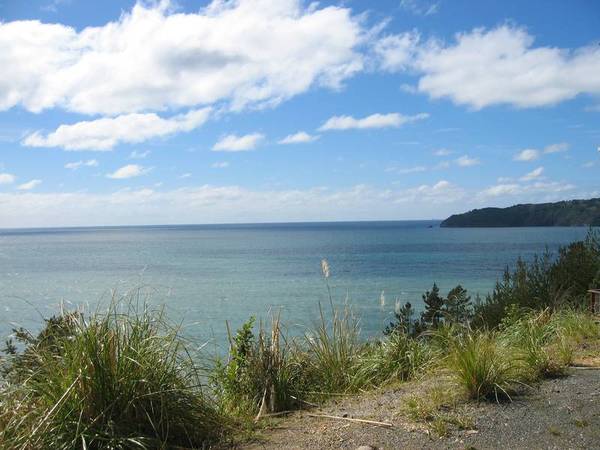 Lure of the Ocean Picture 2