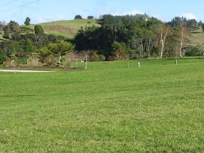 Watch the Action Picture Watch the Action Picture