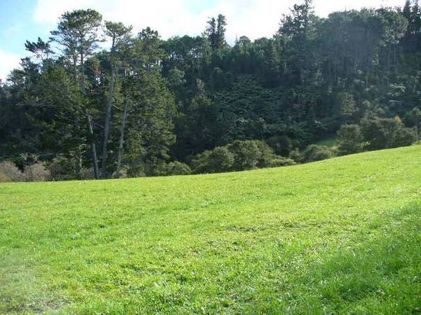 Room to Build Picture 1