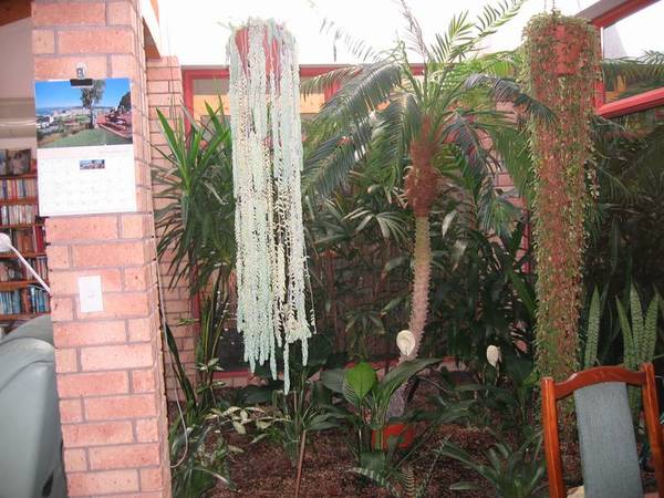 Stunning Views Picture 3