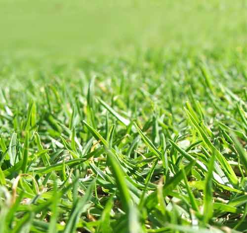 Lot 37 Diamond Hills Estate Picture 1