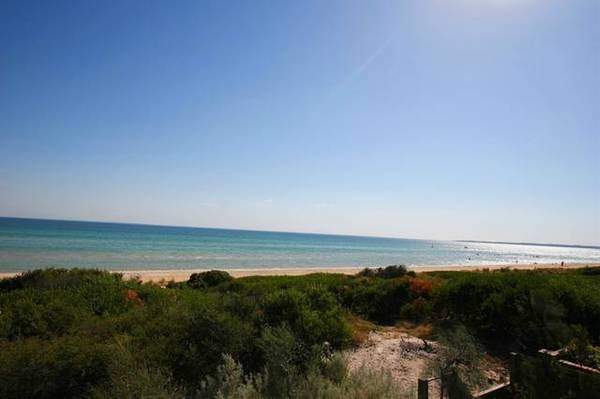 Stunning Absolute Beachfront Home - 180 degree views Picture 2