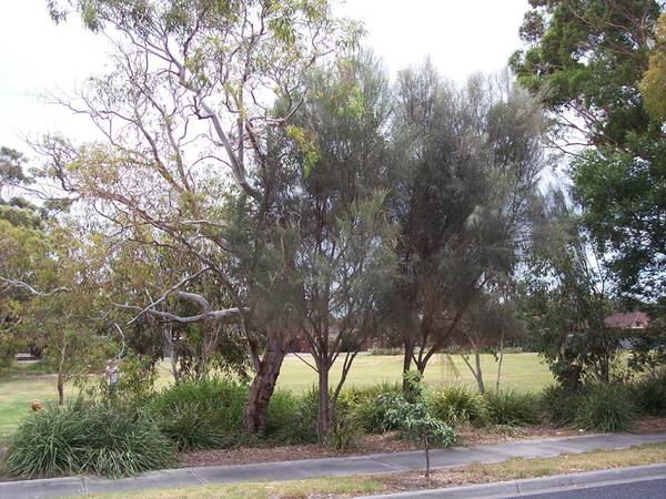 Great Investment Picture 3