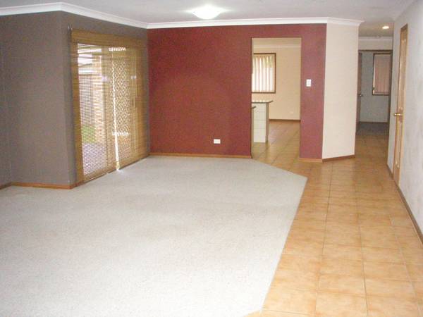 The Perfect Starter Picture 3