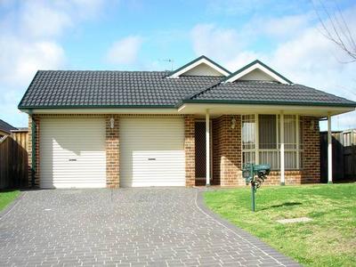 The Perfect Starter Picture