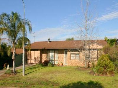 A Great Starter Picture