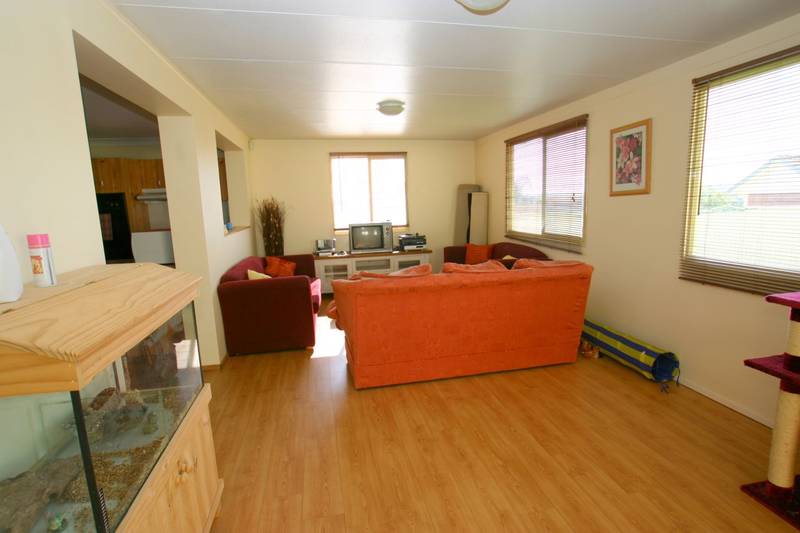 A Great Starter Picture 3