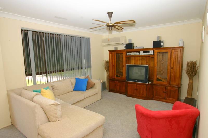 A Great Starter Picture 2