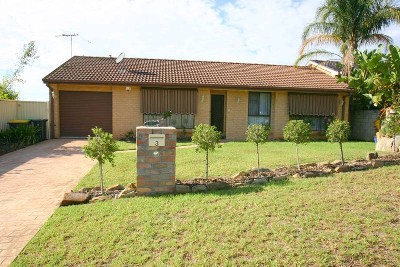 A Great Starter Picture