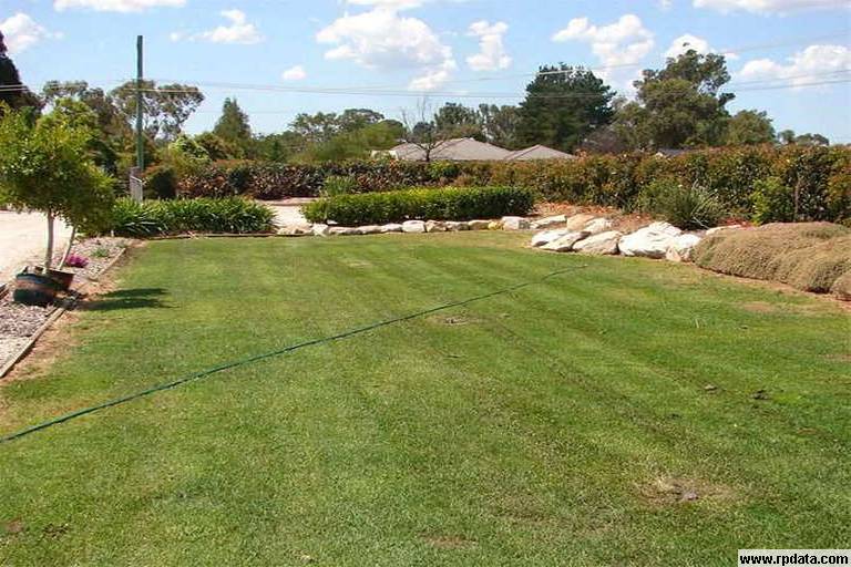 YOU WOULD HAVE TO BE CRAZY TO MISS THIS ONE!!!!!! Picture 2