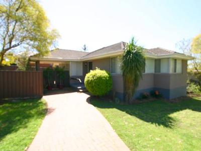 A Sure Seller Picture