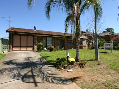 Don't Miss This One Picture