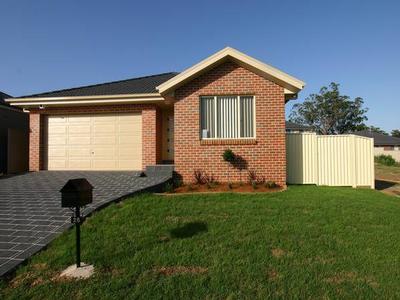 AVAILABLE From 27th January 2010 Picture