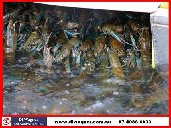 REDCLAW FARM FOR SALE Picture 1