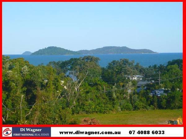 FOLLOW THAT DREAM Picture 1