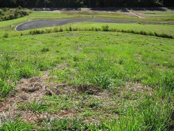 953M2 OF ELEVATED PARADISE Picture 3