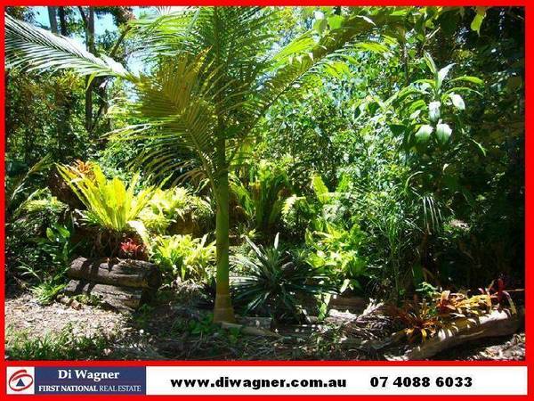 ACREAGE IN THE MIDDLE OF TOWN Picture 1