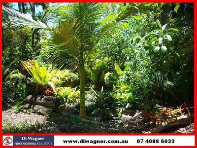 ACREAGE IN THE MIDDLE OF TOWN Picture