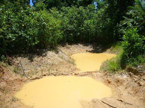 ACREAGE IN THE MIDDLE OF TOWN Picture 3