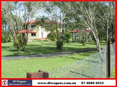 LYCHEE FARM IN THE HINTERLAND Picture