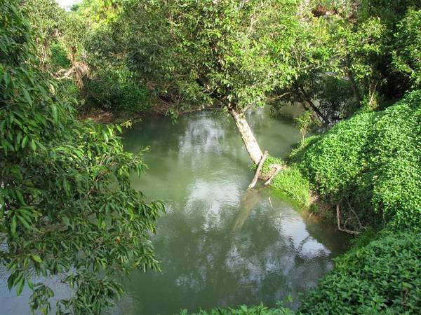 PRIVACY ON 2 ACRES WITH RENOVATION POTENTIAL!! Picture 2