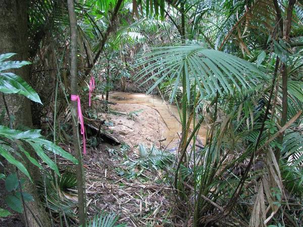 YOUR OWN PRIVATE MOUNTAIN STREAM Picture 3