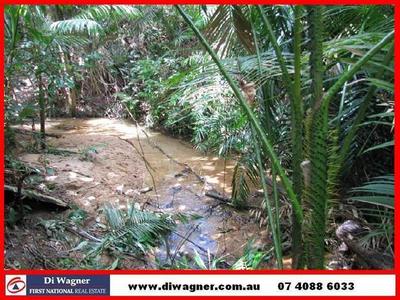 YOUR OWN PRIVATE MOUNTAIN STREAM Picture YOUR OWN PRIVATE MOUNTAIN STREAM Picture