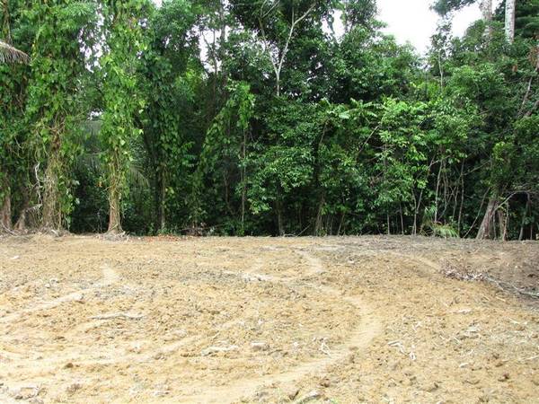 YOUR OWN PRIVATE MOUNTAIN STREAM Picture 2