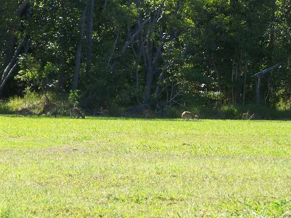 ARE YOU READY TO BUILD ??? Picture 3