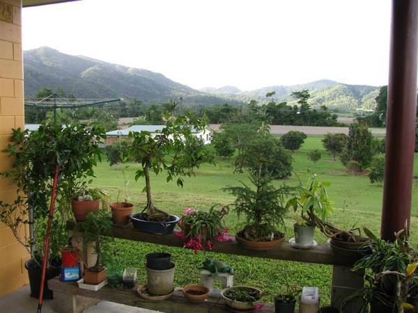 COUNTRY ROAD, TAKE ME HOME.... Picture 3