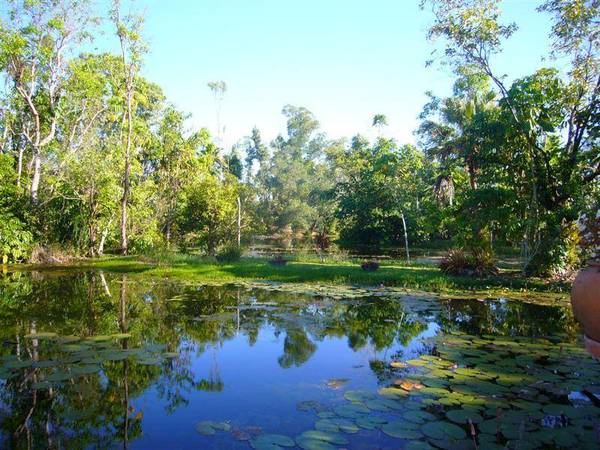 REKINDLE THE FLAME.... Picture 2