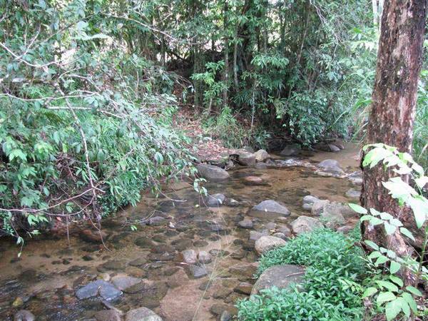 THERE'S MORE THAN MEETS THE EYE! Picture 2