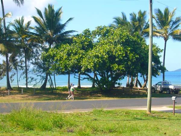 CAPTURE THE ATMOSPHERE OF THE TROPICS BY LIVING ON THE BEACHFRONT Picture 3