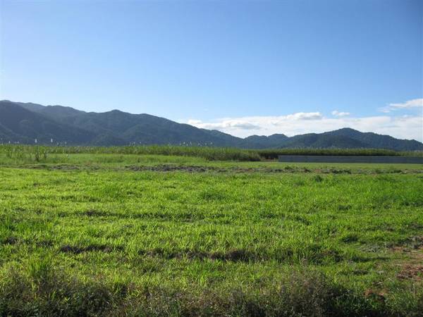 BUY NOW AND DECIDE WHAT TO BUILD LATER Picture 1