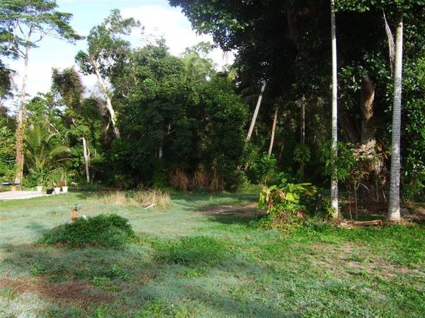 ONLY A HOP, SKIP AND A JUMP TO THE BEACH! Picture 2