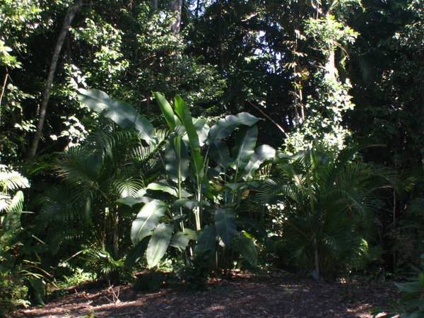 YOUR ISLAND PARADISE! Picture 3