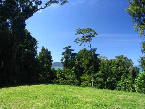 YOUR ISLAND PARADISE! Picture 2