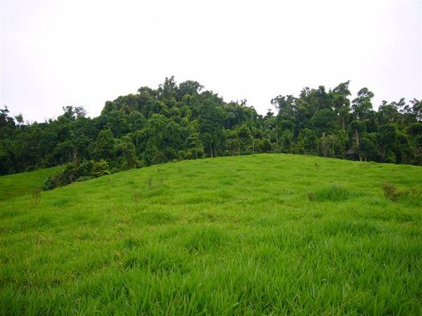 THE MOST EXCLUSIVE ACREAGE IN BINGIL BAY Picture 2