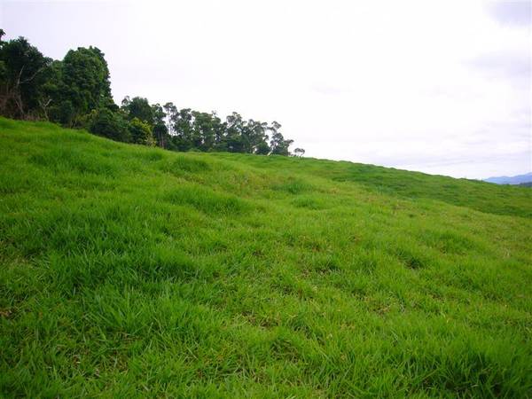 THE MOST EXCLUSIVE ACREAGE IN BINGIL BAY Picture 3