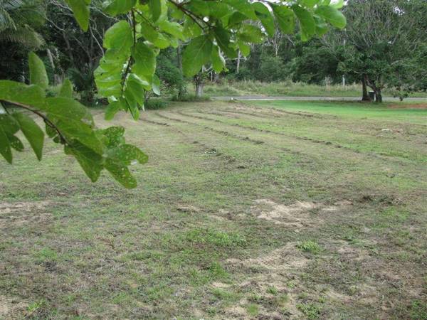 EXCLUSIVE BEACHFRONT POSITION Picture 3