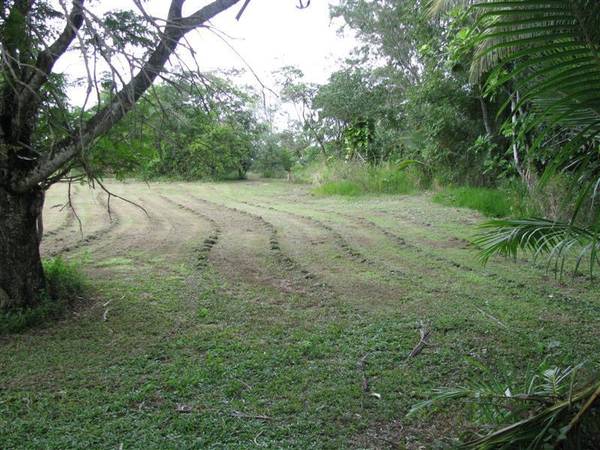 EXCLUSIVE BEACHFRONT POSITION Picture 2