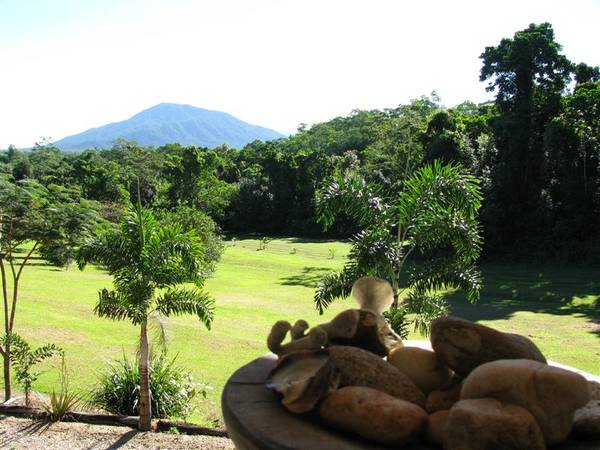 BED AND BREAKFAST LIFESTYLE RETREAT - MISSION BEACH Picture 2