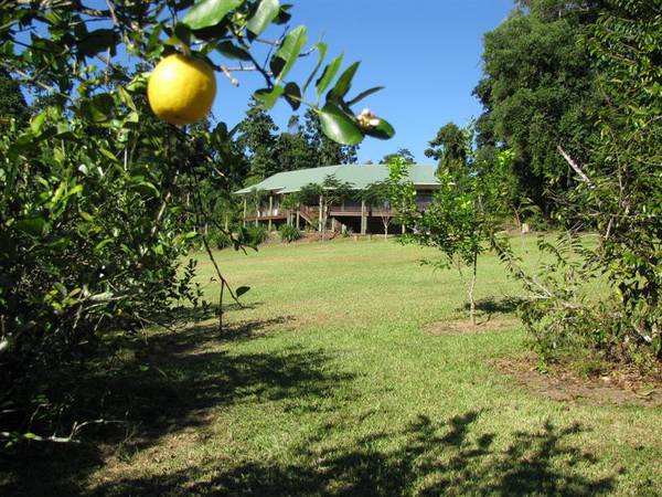 BED AND BREAKFAST LIFESTYLE RETREAT - MISSION BEACH Picture 3