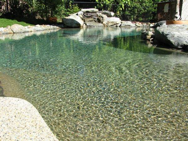 RAINFOREST LODGE B&B Picture 3