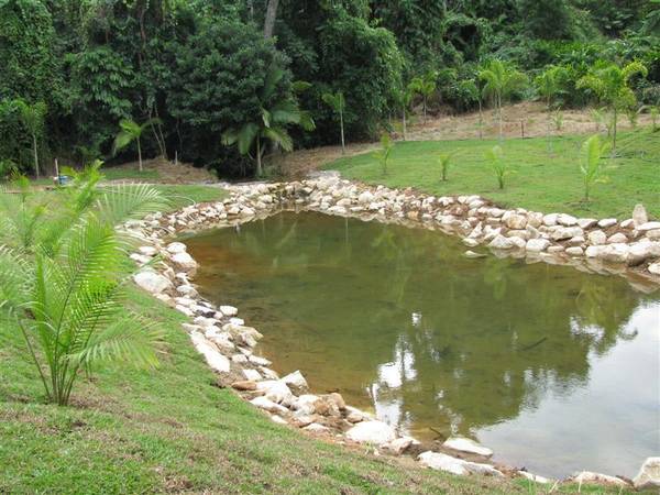 NARRAGON COVE - LOT 12 ON 5122M2 (OCEAN VIEWS) Picture 1