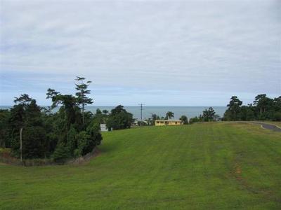 NARRAGON COVE - LOT 17 ON 4873M2 (OCEAN VIEWS) Picture