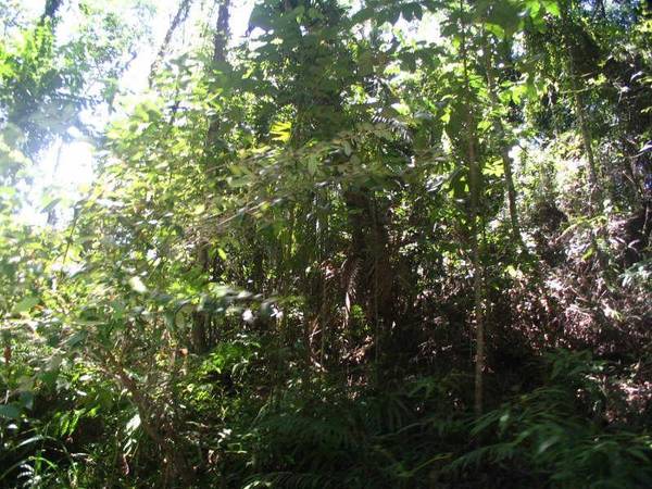 Golf Course or Private Landing Strip?
Granadilla - Real Estate Investment of
Lifetime! Picture 2