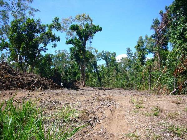 LOT 8 - LIQUID ON MISSION Picture 2