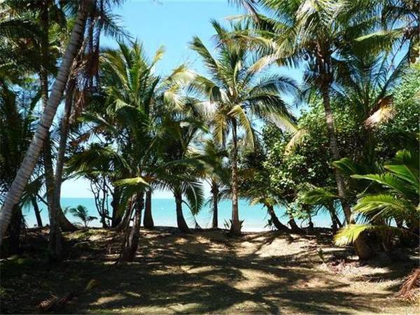 A LITTLE BIT OF BALI RIGHT HERE IN MISSION BEACH Picture 3